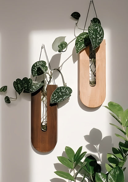 Wooden Wall Plant Holder Set for Houseplants with Minimalist and Natural Design