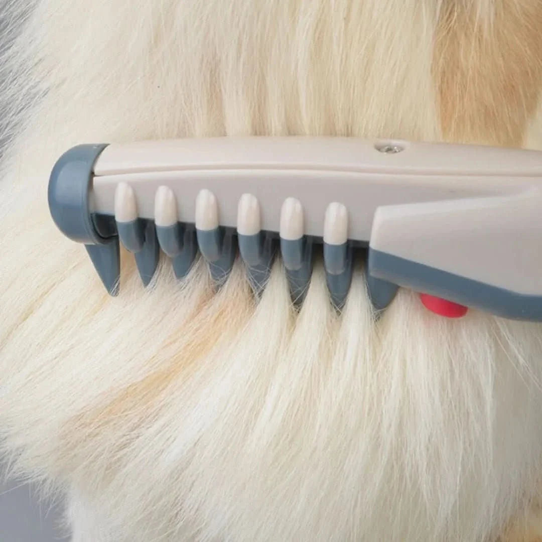 F-Electric | Pet Grooming Kit