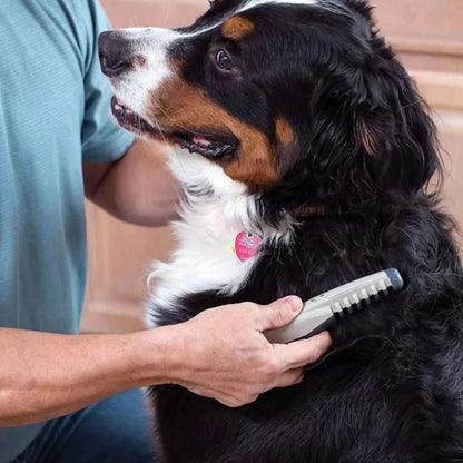 F-Electric | Pet Grooming Kit