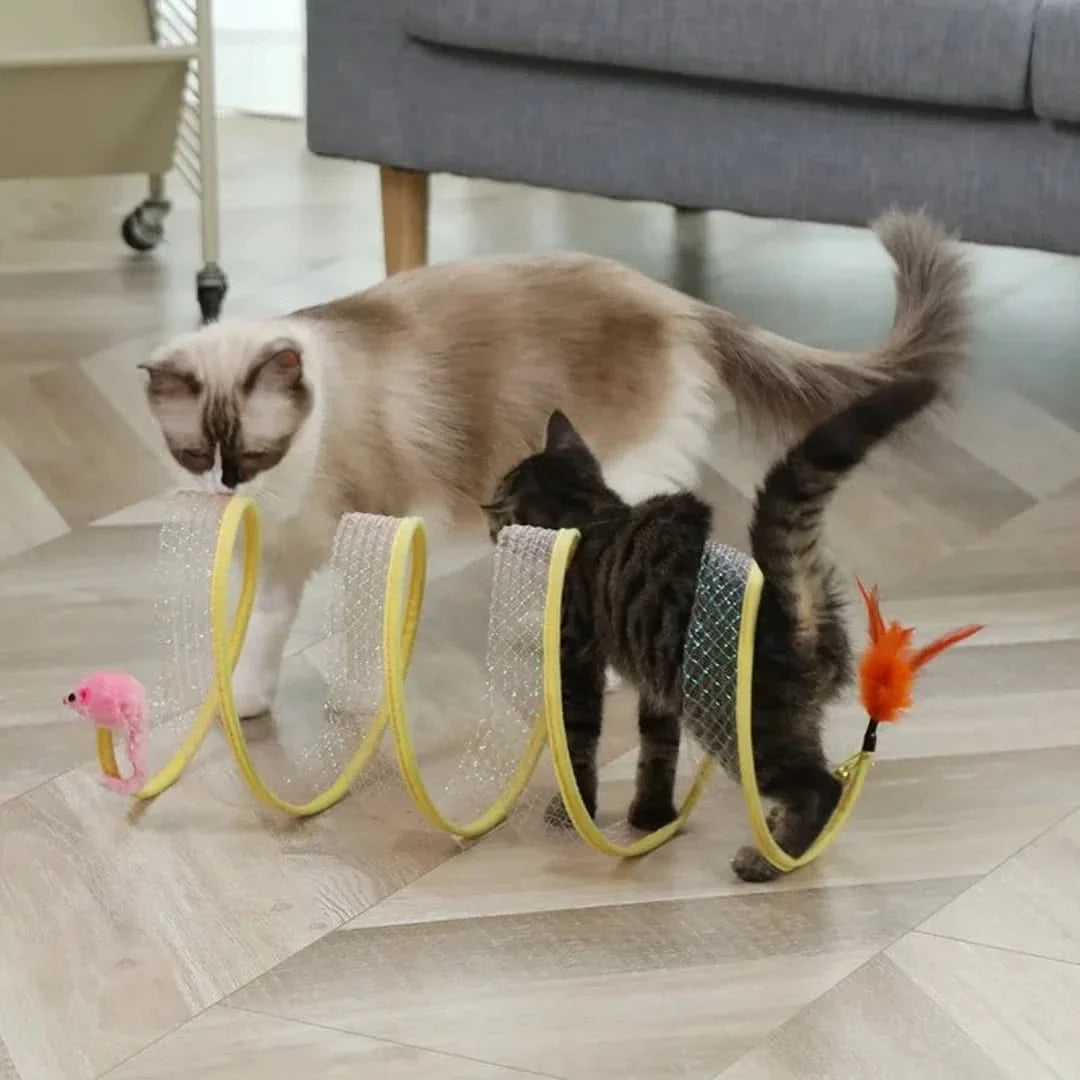 FelineFun | Tunnel per gatti