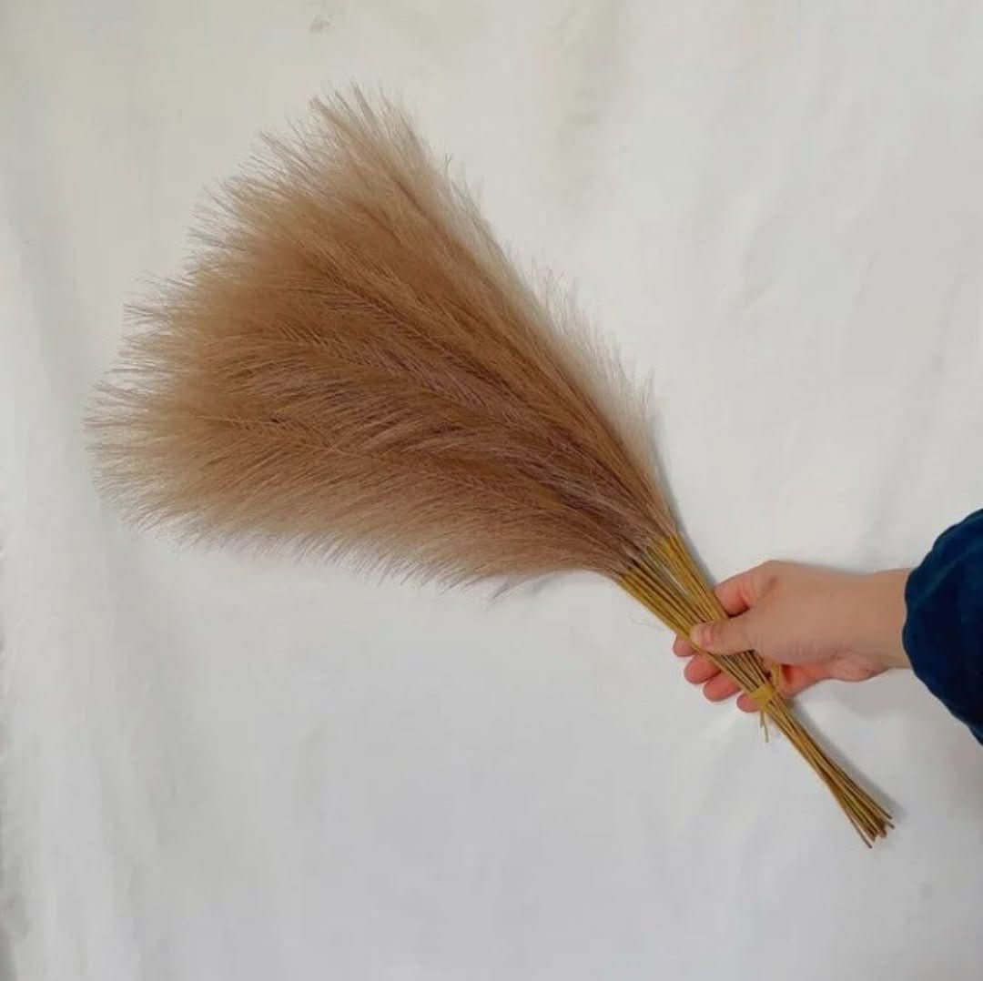 Αφράτο μπουκέτο από πάμπας