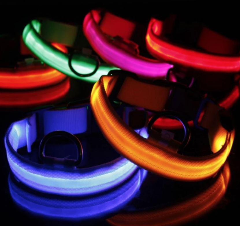 HondVeilig Pro - LED Dog Collar - Feel Safe and Stylish While Walking Your Dog