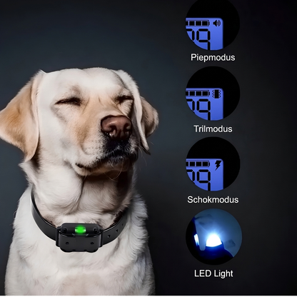 Remote-Controlled Dog Training Collar
