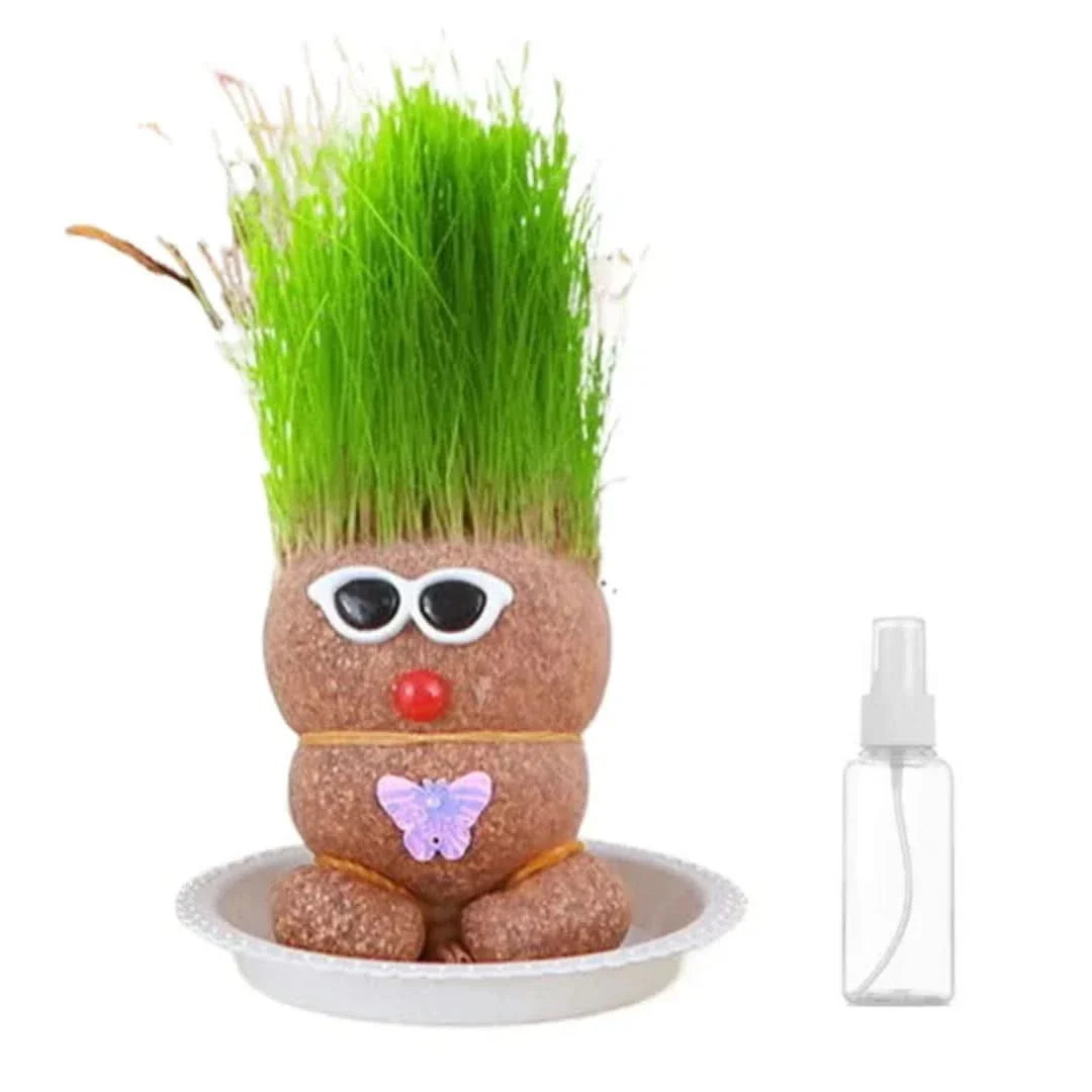 Plante figurative - Creează plante vii