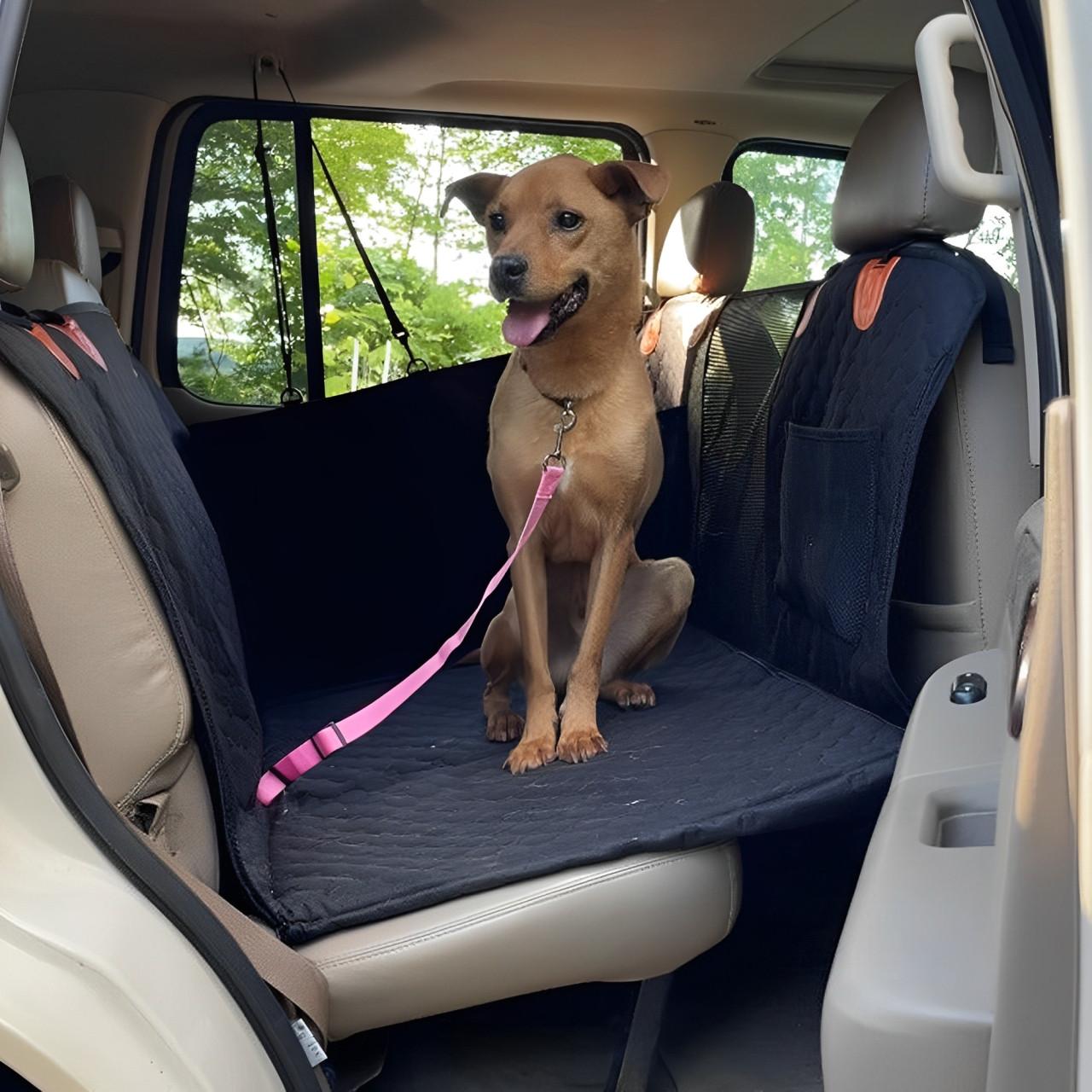 Dog Car Cover
