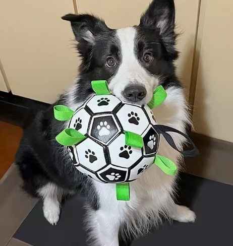 Hundespielball aus Gummi mit Griffen für drinnen und draußen
