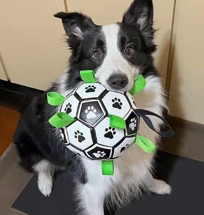 Hundespielball aus Gummi mit Griffen für drinnen und draußen