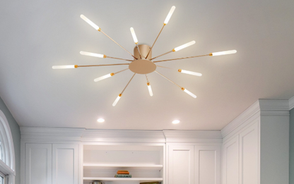 Modern Ceiling Light with Multiple Arms for Powerful and Stylish Illumination