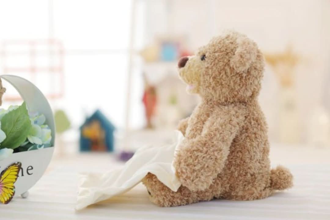 Peekaboo | Baby Teddy