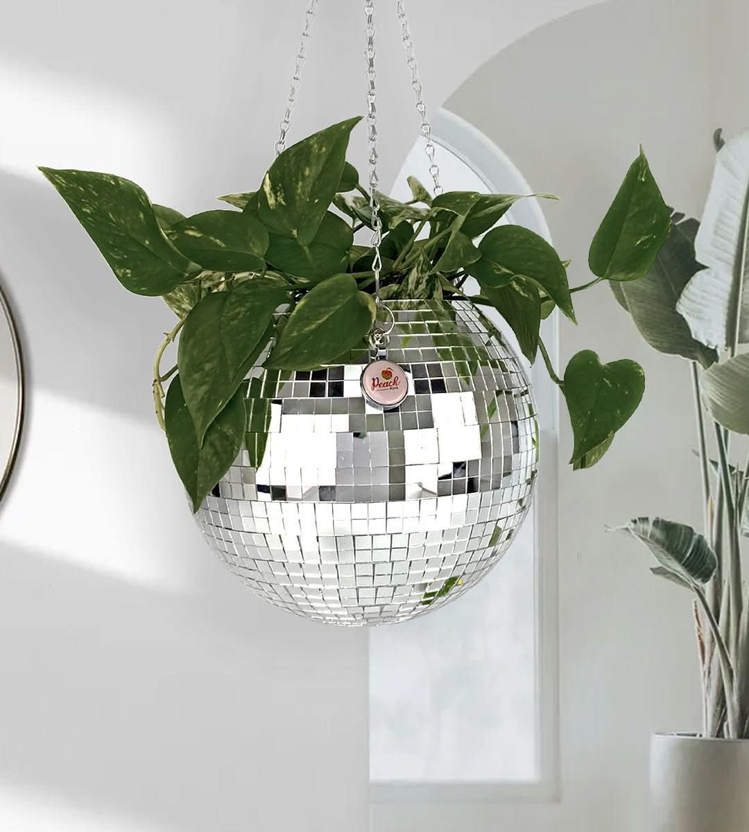 Party Popper | Party at Home