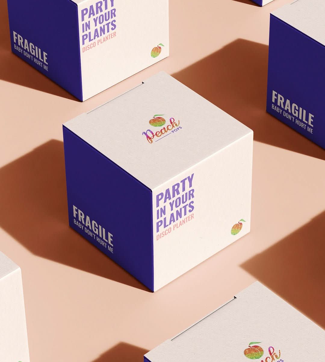 Party Popper | Party at Home