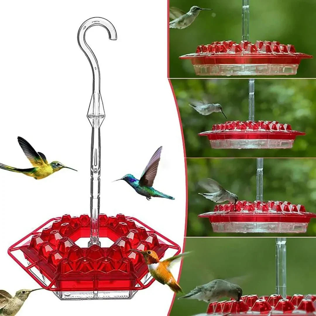 Comedero para colibríes | Hormigas
