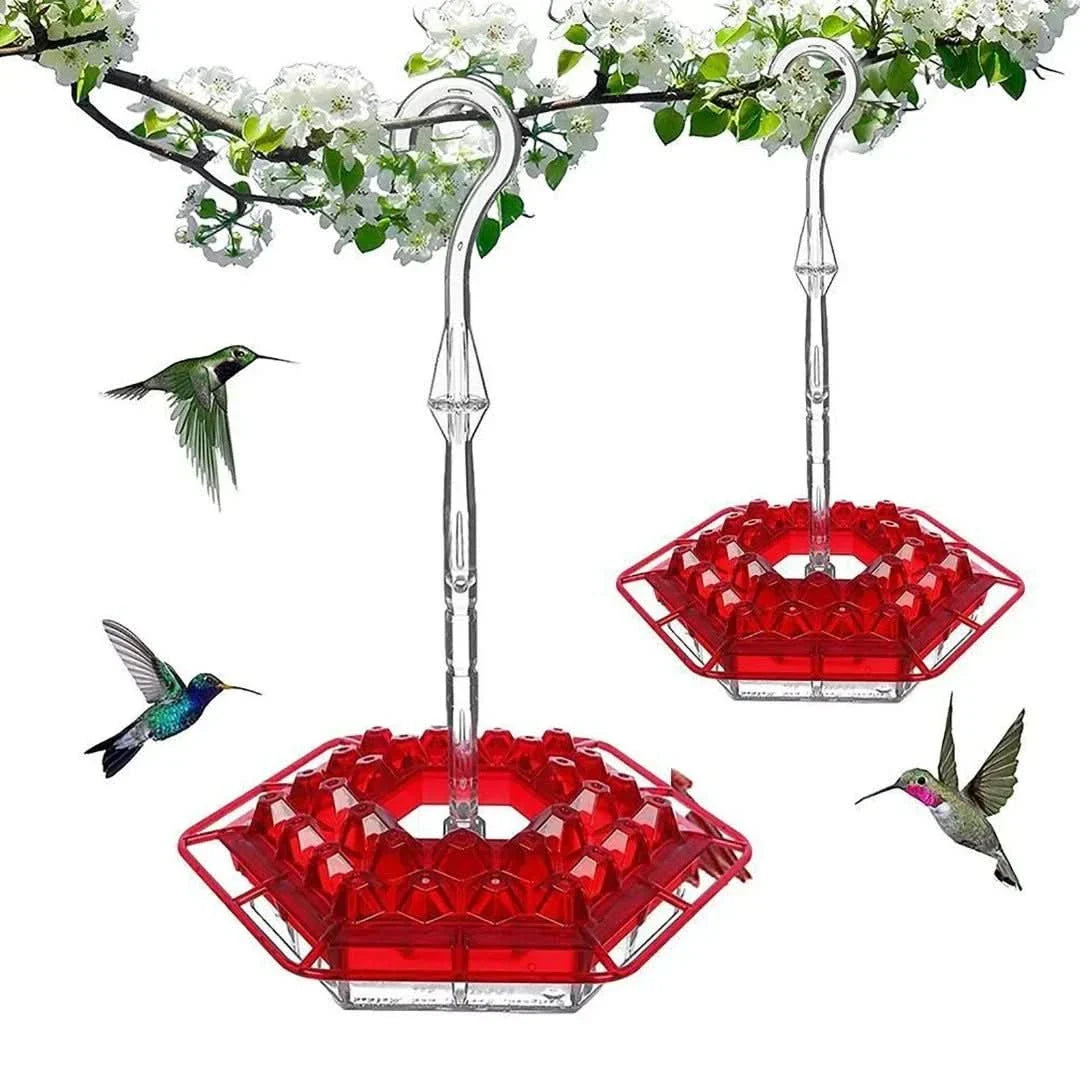 Comedero para colibríes | Hormigas