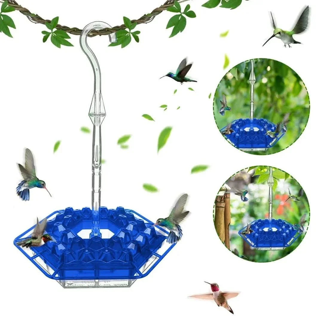 Comedero para colibríes | Hormigas