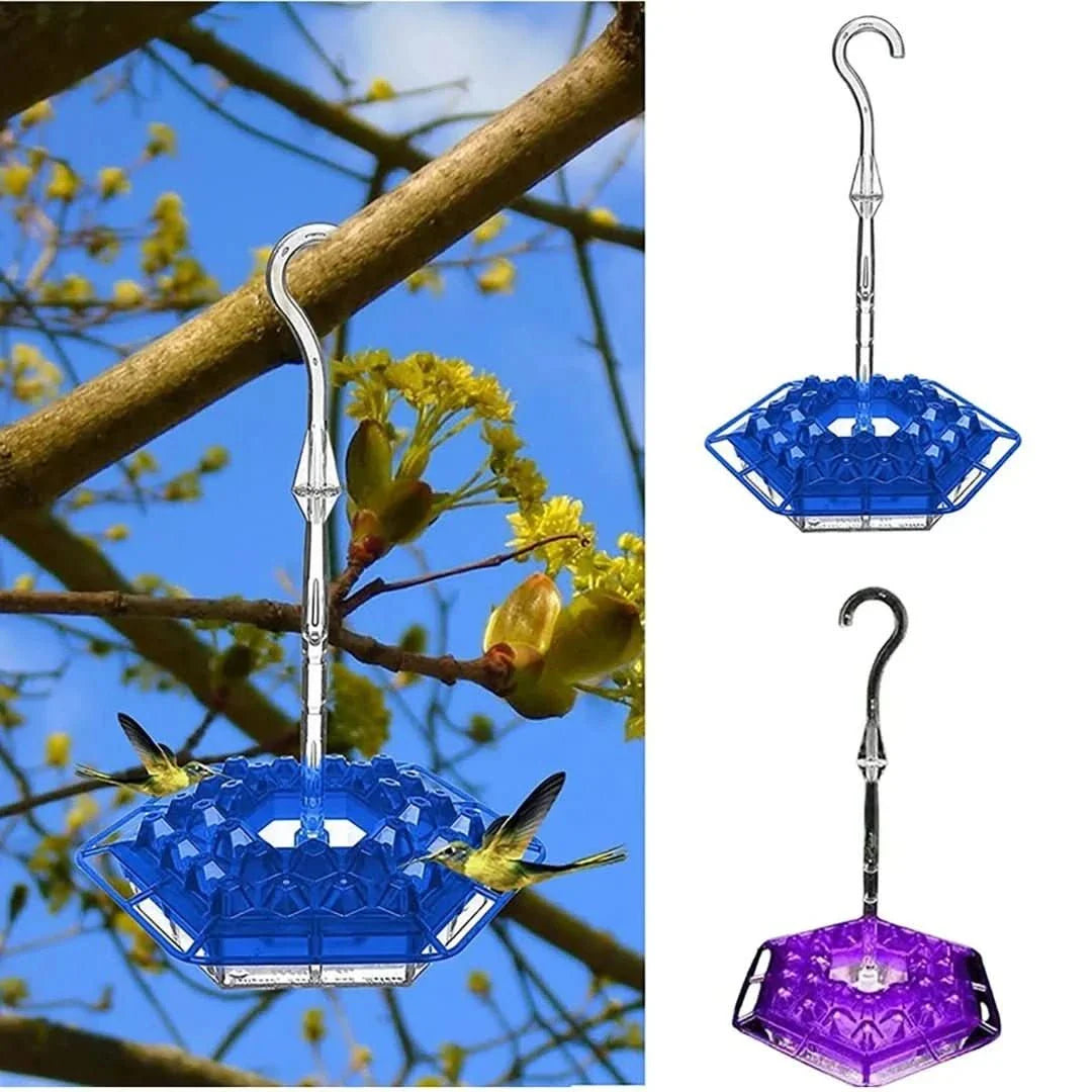 Comedero para colibríes | Hormigas