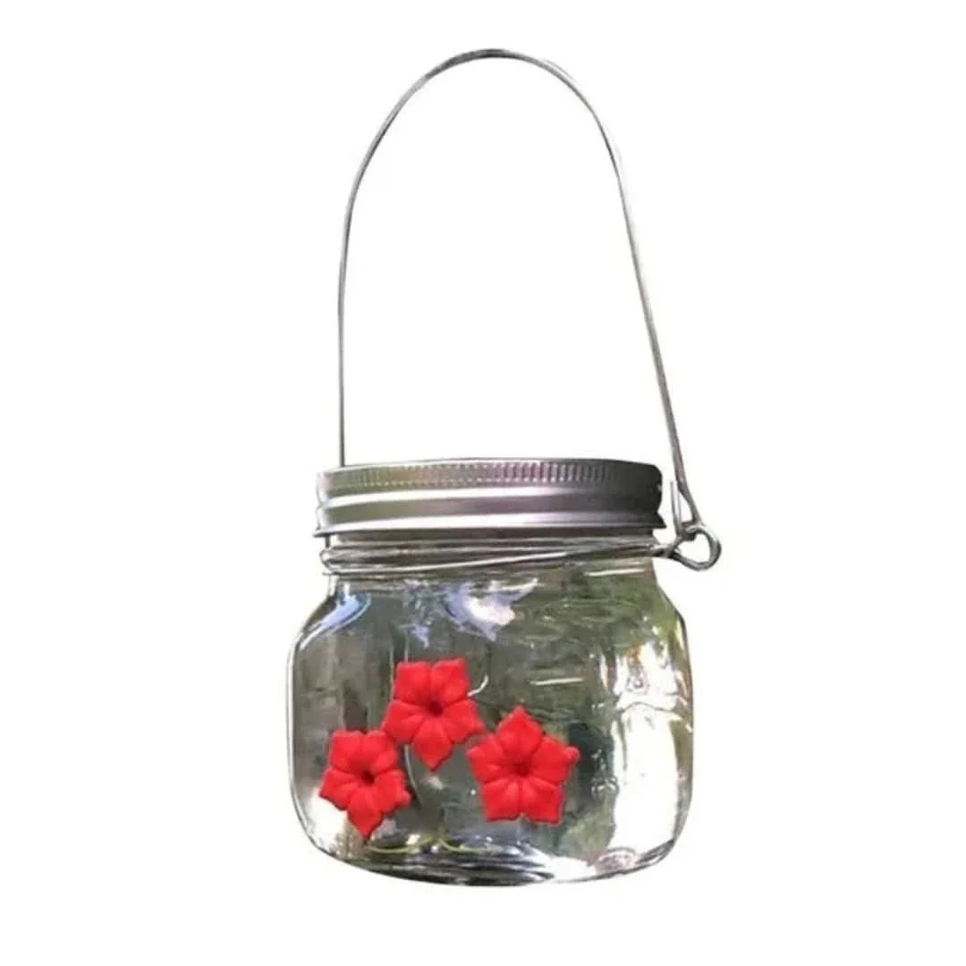 hummingbird feeder