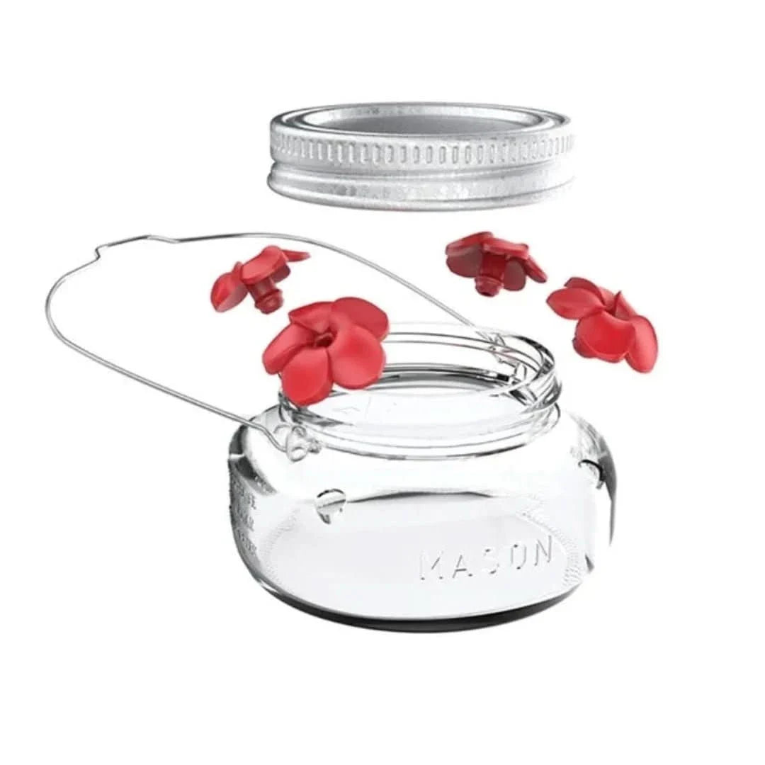 hummingbird feeder