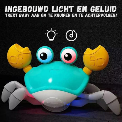CrawlCrab | The Ultimate Crawling Adventure