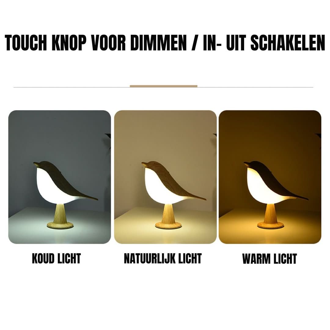 MissBird | Stylish Addition to Your Interior