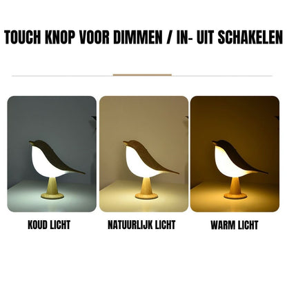 MissBird | Stylish Addition to Your Interior