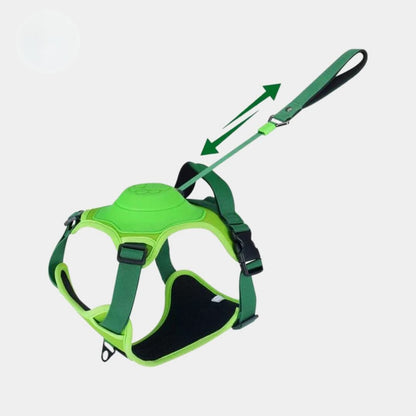 Multi-Buckle | Harness & Lead