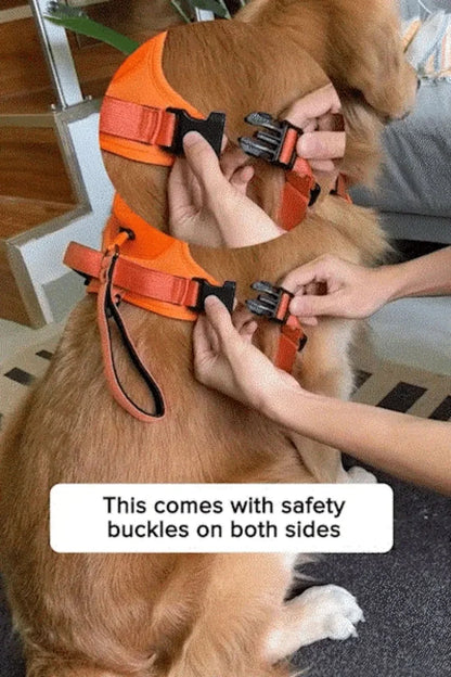 Multi-Buckle | Harness & Lead
