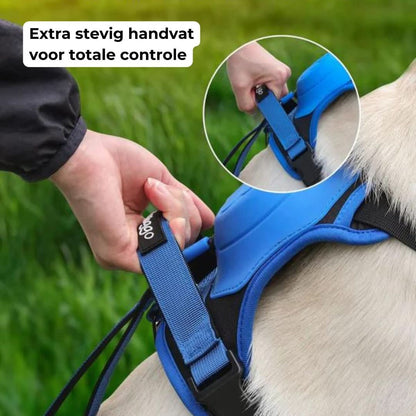 Multi-Buckle | Harness & Lead