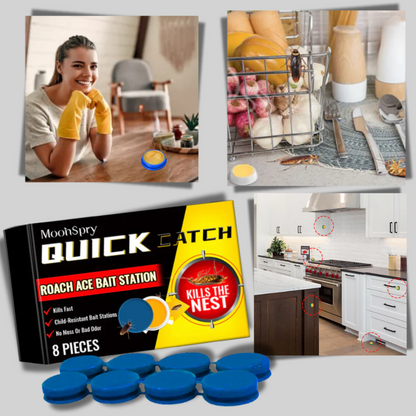 Odorless Cockroach Traps - Discreet Solution for Pest Control