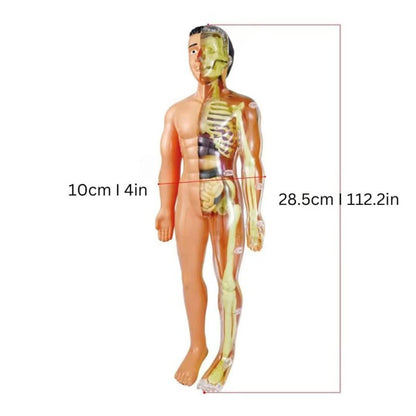 Organix | Complete Body Set
