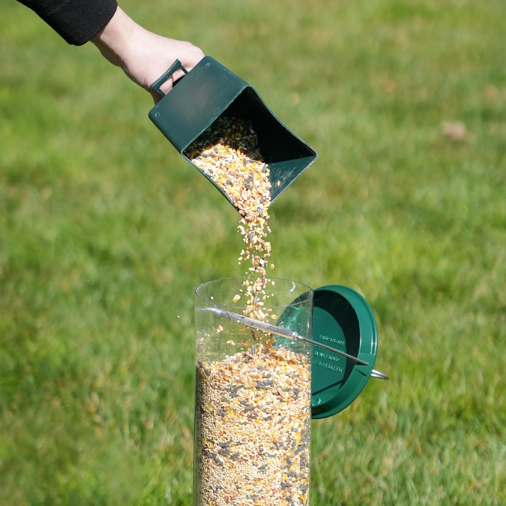 Squirrel-Proof Bird Feeder – For Worry-Free Bird Feeding