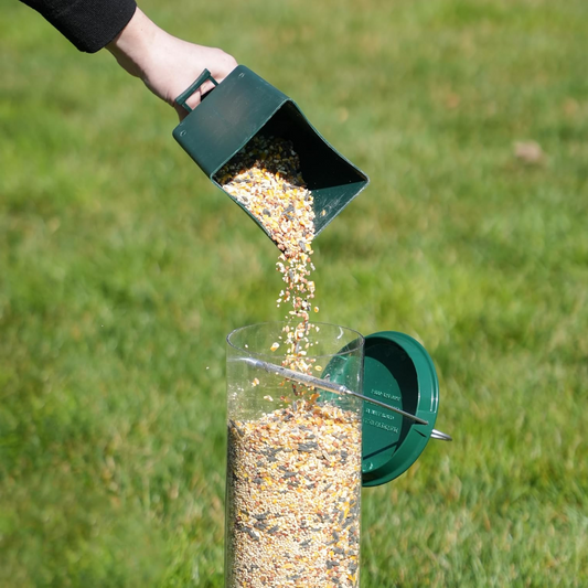 Comedero para Pájaros a Prueba de Ardillas – Para Alimentar a las Aves Sin Preocupaciones