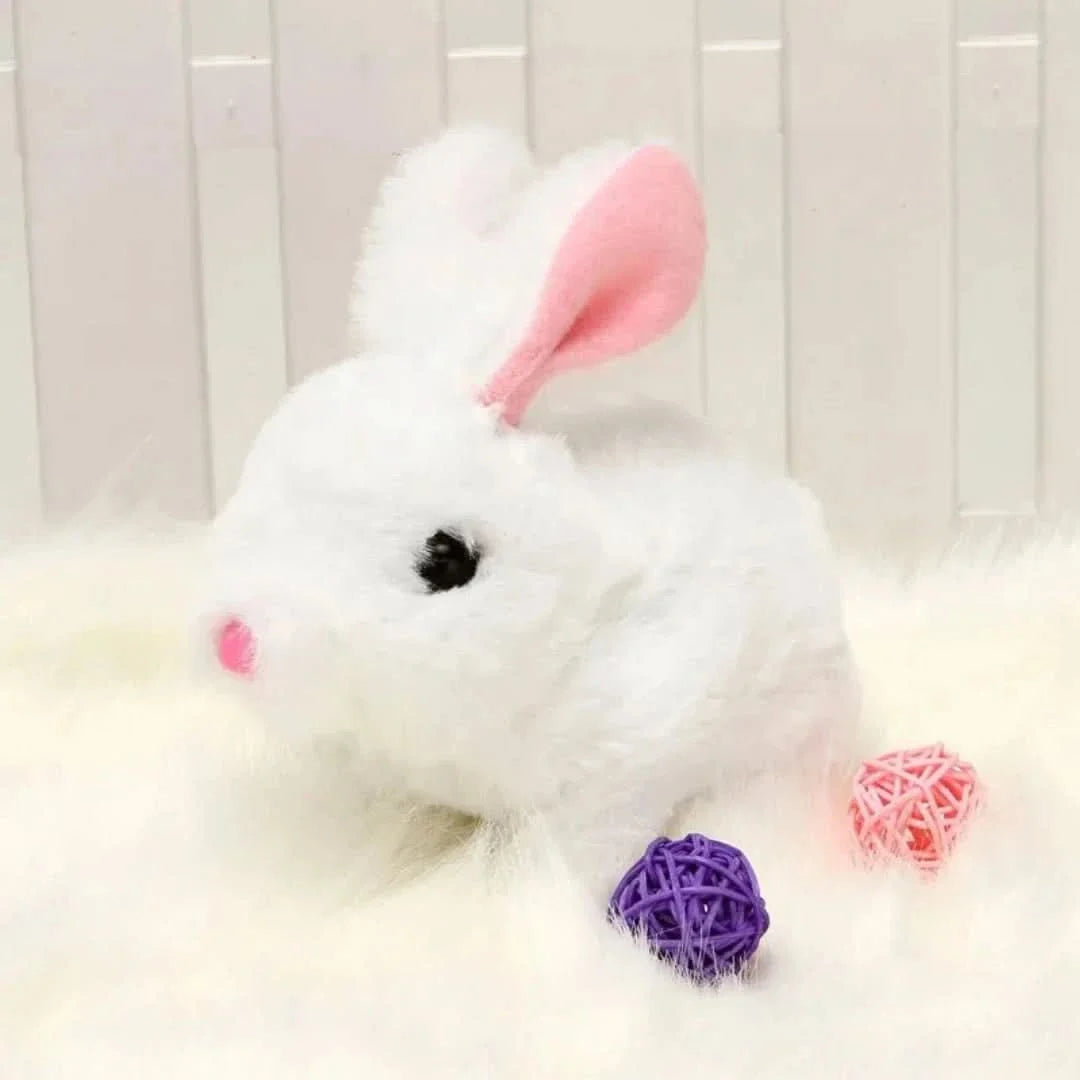 Bunny 🐰 | Educational Interactive Toy