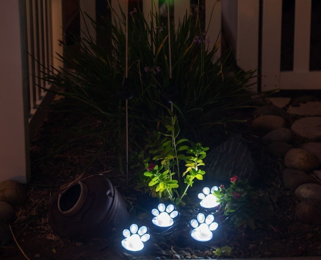 PawLight - Solar Garden Lighting