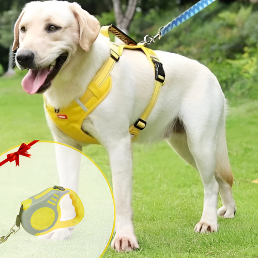 FlexPet – Arnés para Perro Antitirones