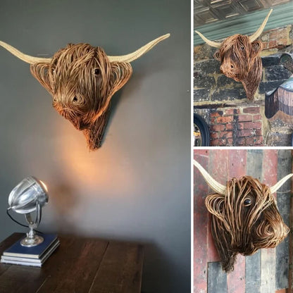 Plateau Cow | Confused Hairstyle