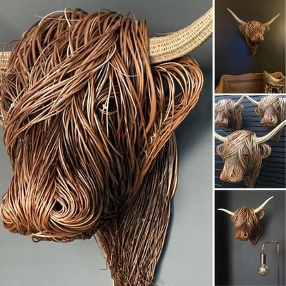 Plateau Cow | Confused Hairstyle