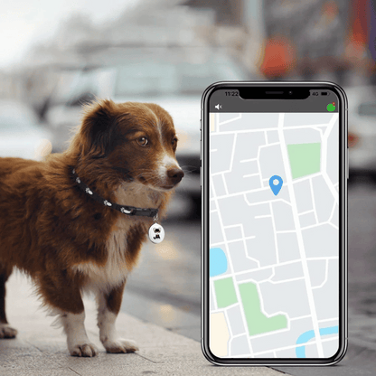 Pet GPS Tracker - Dogs and Cats - Android and iOS