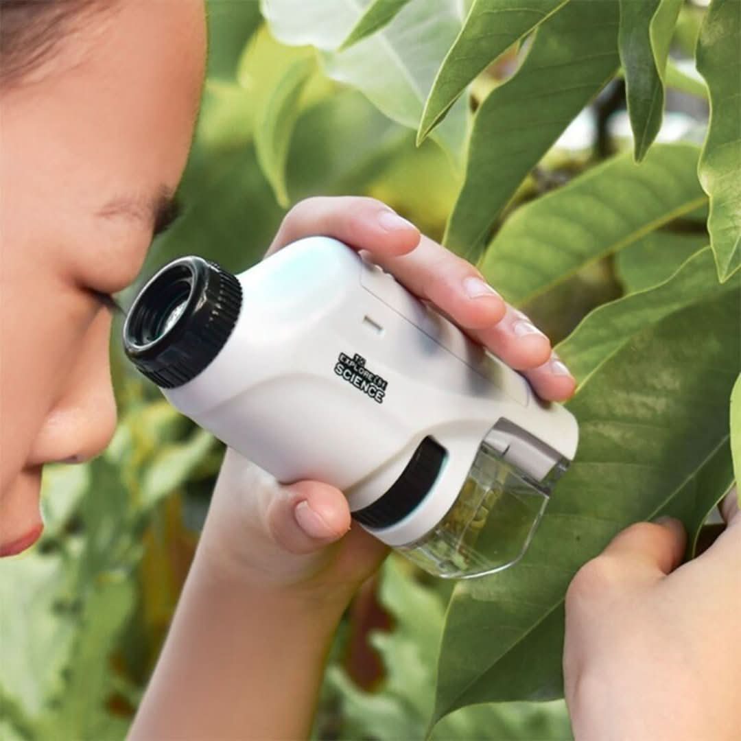 Pocket Micro | Educational Adventure