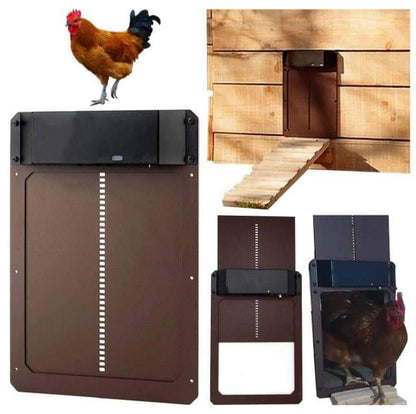 Nova – Automatic Chicken Coop Door with Light Sensor