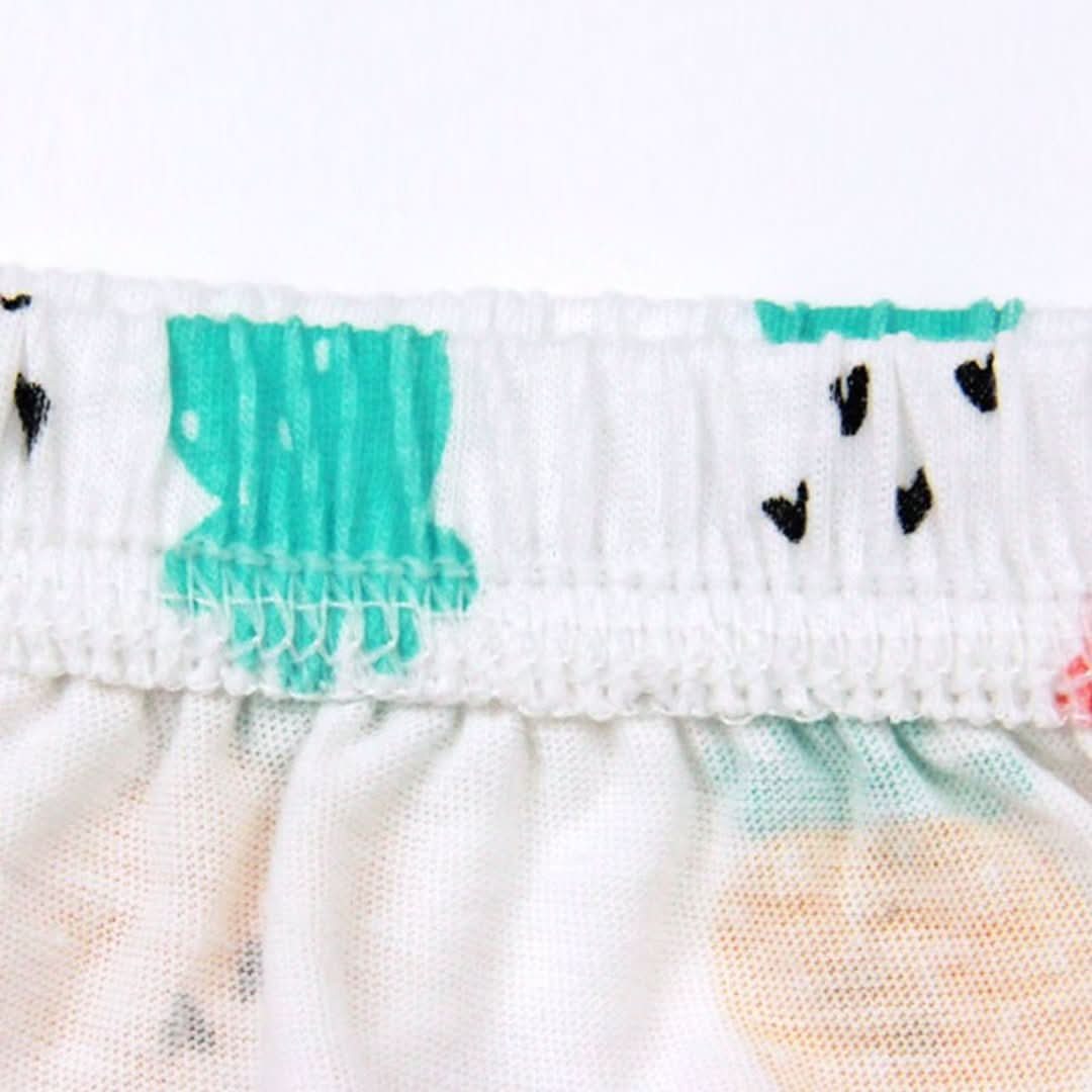 Potty Training Underwear