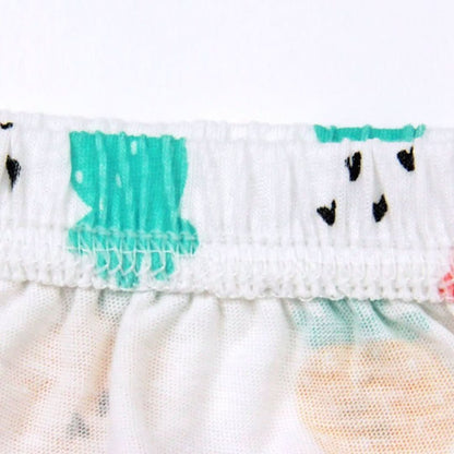Potty Training Underwear