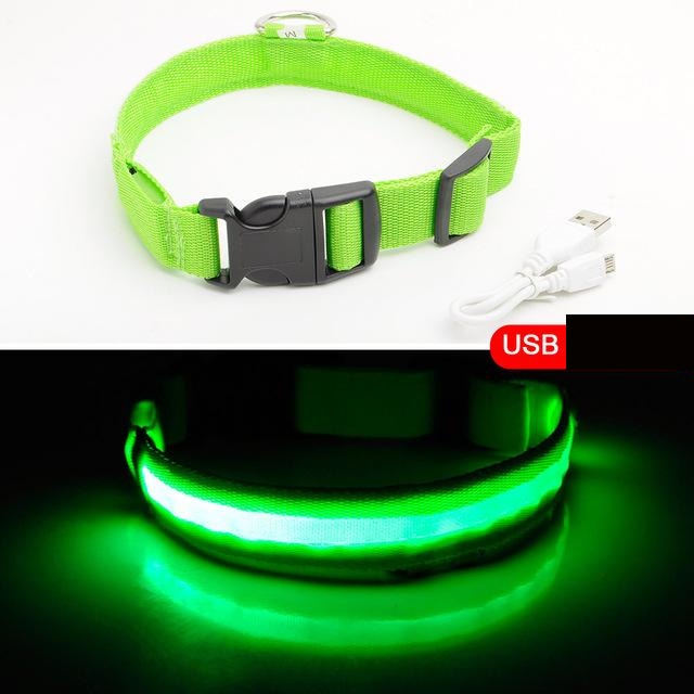 HondVeilig Pro - LED Dog Collar - Feel Safe and Stylish While Walking Your Dog