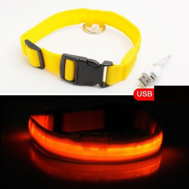 HondVeilig Pro - LED Dog Collar - Feel Safe and Stylish While Walking Your Dog