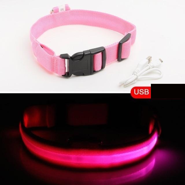 HondVeilig Pro - LED Dog Collar - Feel Safe and Stylish While Walking Your Dog