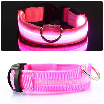 HondVeilig Pro - LED Dog Collar - Feel Safe and Stylish While Walking Your Dog