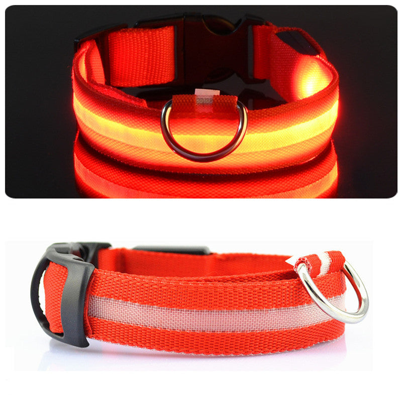 HondVeilig Pro - LED Dog Collar - Feel Safe and Stylish While Walking Your Dog