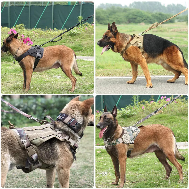 No-Pull Dog Harness - Dog Lead
