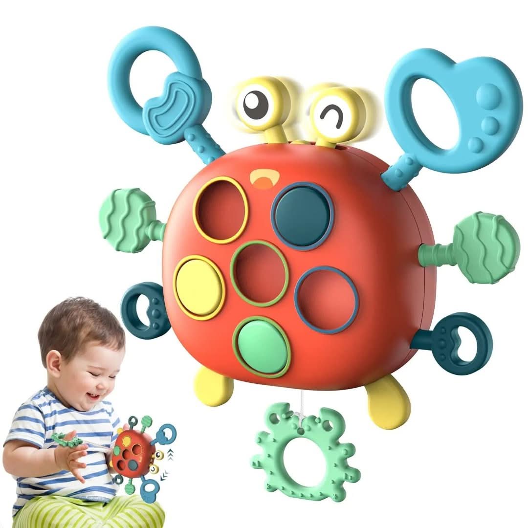 Sensory Crab | Sensory Toy