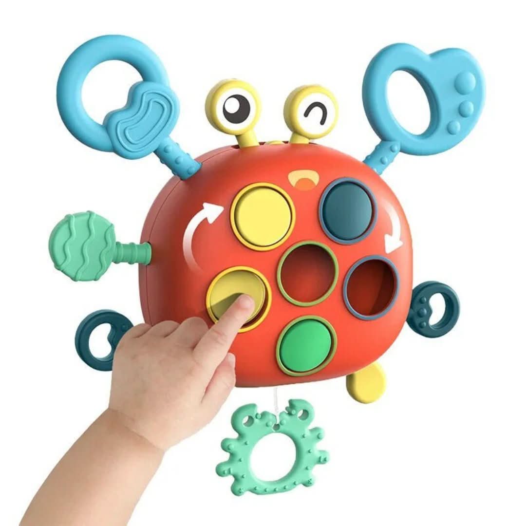 Sensory Crab | Sensory Toy
