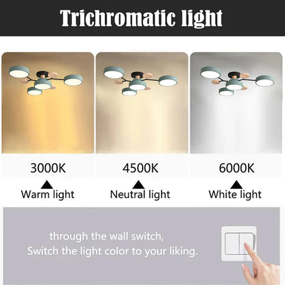 Modern halo LED ceiling light